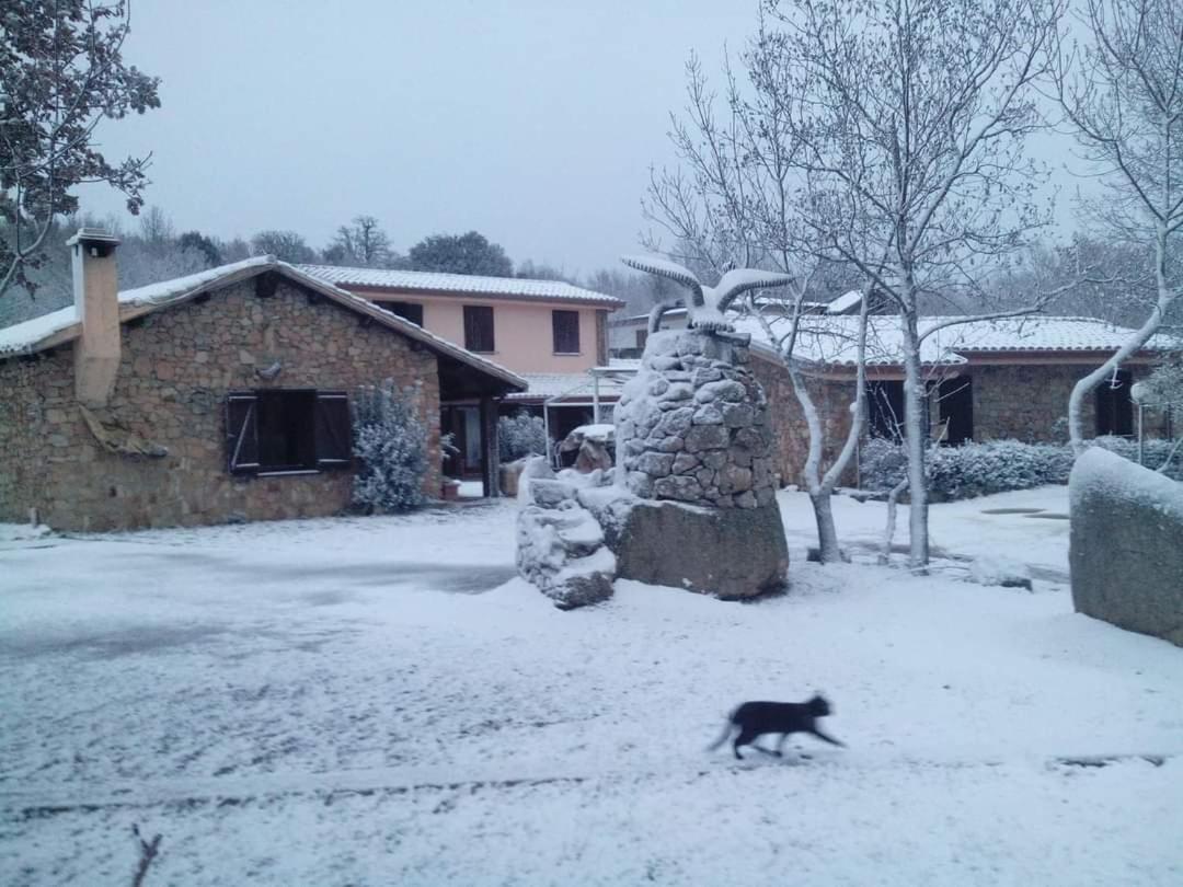 Villanova Strisaili Hotel Il Nido Dell'Aquila מראה חיצוני תמונה
